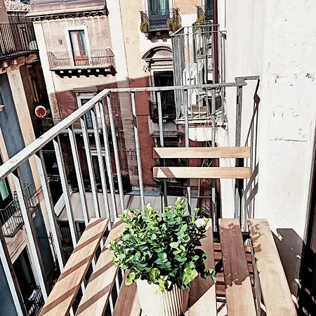 Domus Coppola